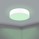 Eglo 900439 Romao-Z mennyezeti lámpa