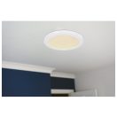 Globo 12379-24W Lasse mennyezeti lámpa