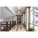 Globo 12380-18W Lasse mennyezeti lámpa