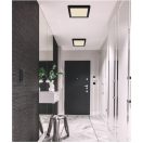 Globo 12380-24B Lasse mennyezeti lámpa