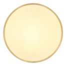 Globo 12381-22 Tibey mennyezeti lámpa