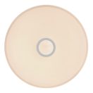 Globo 41386-30RGBSH Connor mennyezeti lámpa