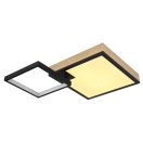 Globo 41392-21 Jacky mennyezeti lámpa