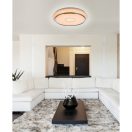 Globo 48389-40 Dani mennyezeti lámpa