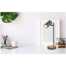 Globo 57910TG Robby íróasztali lámpa