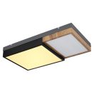 Globo 67286-30 Gundi mennyezeti lámpa