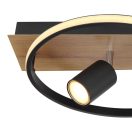 Globo 67309-36 Danny mennyezeti lámpa