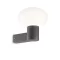 Ideal lux 145228 Clio kültéri fali lámpa