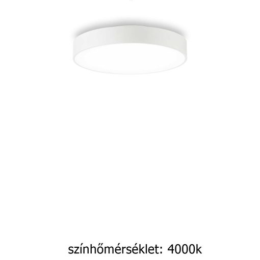 Ideal Lux 223193 Halo mennyezeti lámpa