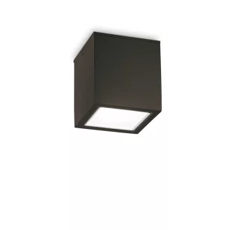 Ideal Lux 251530 Techo kültéri mennyezeti lámpa