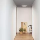 Ideal lux 318264 Ray mennyezeti lámpa