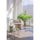 Maytoni MOD302WL-01W Antic falikar