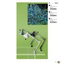 Rábalux 4214 Arno íróasztali lámpa