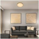 Rábalux 71037 Tesia mennyezeti lámpa