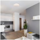 Rábalux 71133 Lucas mennyezeti lámpa