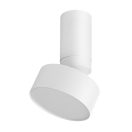 Rábalux 71326 Ovidia 11x17cm, 640lm, 3000K, állítható fejű mennyezeti lámpa