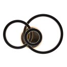 Rábalux 71392 Maziar 52x35x10cm, távirányítós, fényerőszabályzós, 3700lm, 3000-6500K mennyezeti lámpa