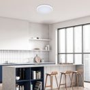 Rábalux 71430 Alenzo 42x6,5cm, távirányítós, fényerőszabályzós, 2450lm, 3000/4000/6000K, IP44, háttérvilágításos mennyezeti lámpa 