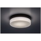 Rábalux 75026 Gaelo fürdőszobai mennyezeti lámpa