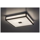 Rábalux 75033 Zoya fürdőszobai mennyezeti lámpa