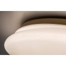 Rábalux 75053 Caliope 41x10cm, 1700lm, 4000K, IP44 fürdőszobai mennyezeti lámpa