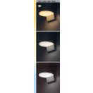 Rábalux 77117 Batida 17,5x8cm, 900lm, 2700/4000/6500K, IP54 kültéri fali lámpa