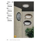 Rábalux 8499 Hektor kültéri fali lámpa