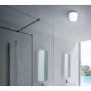 Redo 01-3286 Naji d23m, 698lm, 3000/4000K IP44 mennyezeti lámpa