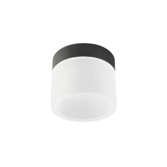 Redo 01-3359 Naida fürdőszobai mennyezeti lámpa