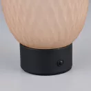 Trio 564210113 Facette 20,5x11,8cm, 140lm, 3000K, akkumulátoros, érintőkapcsolós, fényerőszabályzós asztali lámpa