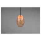 Trio R31571065 Bidar függeszték