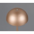 Trio R54891165 Munoz 21x13cm, 120lm, 3000K, akkumulátors, érintőkapcsolós, fényerőszabályzós lámpa