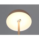 Trio R54891165 Munoz 21x13cm, 120lm, 3000K, akkumulátors, érintőkapcsolós, fényerőszabályzós lámpa