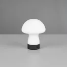 Trio R54981131 Dooley 18x14cm, 140lm, 3000K, akkumulátors, érintőkapcsolós, fényerőszabályzós lámpa