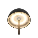 Trio R55601132 Ortiz 20x9cm, 150lm, 3000K, akkumulátoros, érintőkapcsolós, fényerőszabályzós, IP44 asztali lámpa