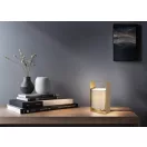 Trio R55751065 Pail 27x16x15cm, 1xE27, vezetékes kapcsolós lámpa