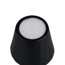 Trio R55961132 Diaz 21x8,5cm, 160lm, 2700-6500K, akkumulátoros, érintőkapcsolós, fényerőszabályzós, IP44 asztali lámpa