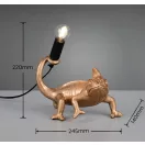 Trio R56581079 Crawly 1xE14 asztali lámpa