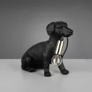 Trio R56601002 Rudi 1xE14 asztali lámpa