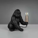 Trio R56611002 Kong 1xE14 lámpa