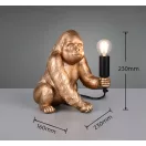 Trio R56611079 Kong 1xE14 lámpa