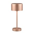 Trio R59151165 Jeff dekorációs lámpa