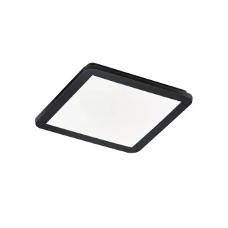 Trio R62931832 Camillus mennyezeti lámpa