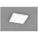 Trio R62932001 Camillus mennyezeti lámpa