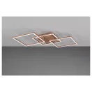 Trio R64493165 Trail mennyezeti lámpa