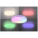 Trio R67131100 Tiger mennyezeti lámpa