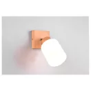 Trio R81111030 Assam spot lámpa