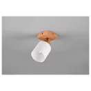 Trio R81111030 Assam spot lámpa