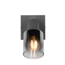 Trio R81781042 Cadiz spot lámpa